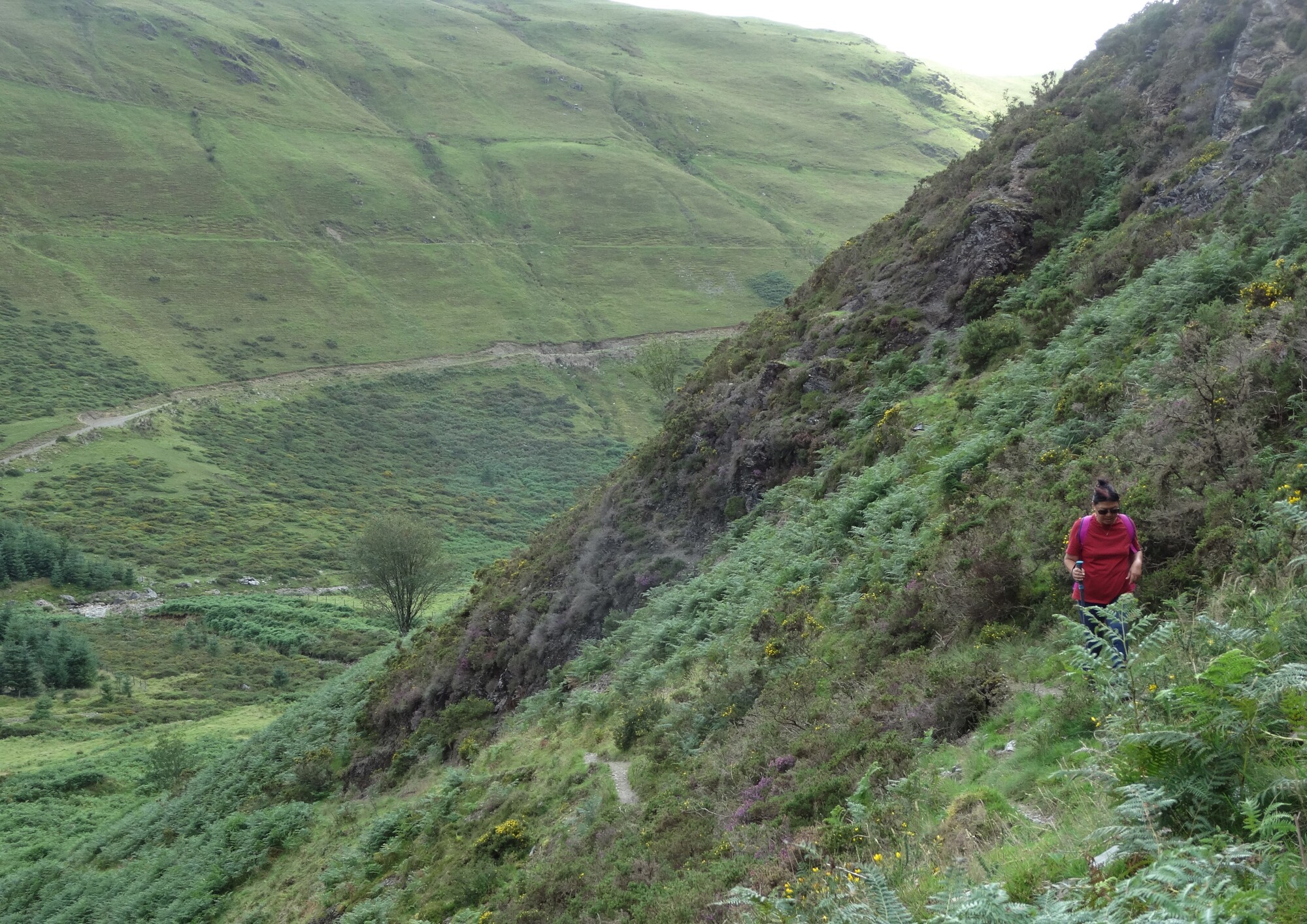 RachelSeabrook.net | Wild Walking | Craig y Pistyll | pic16